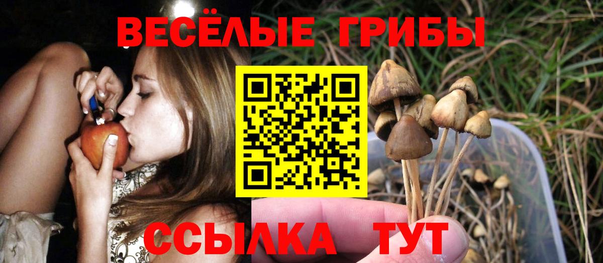 цены   Вход с VPN  Коммунар  Псилоцибиновые грибы Cubensis 