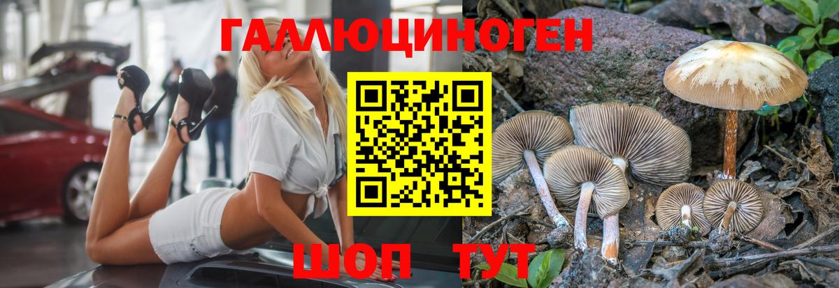 Псилоцибиновые грибы MAGIC MUSHROOMS Коммунар